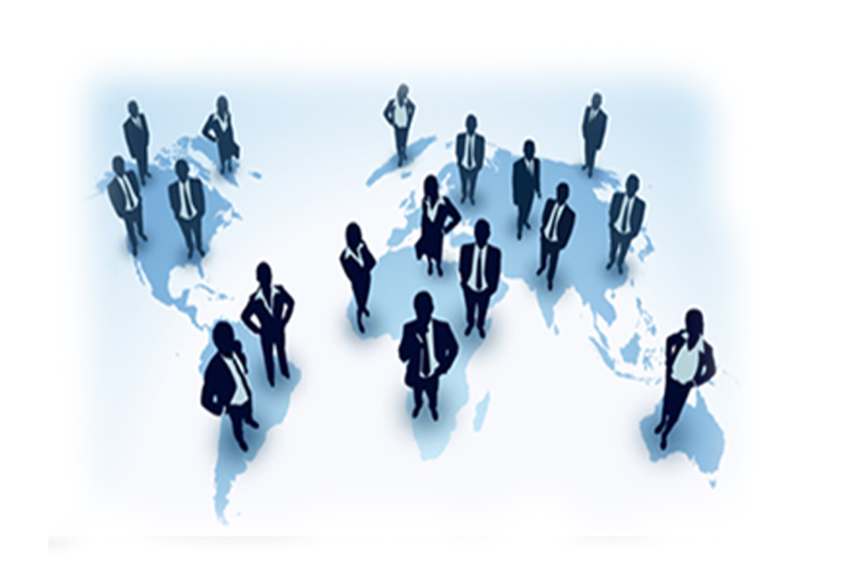 DPL DPL license consultant